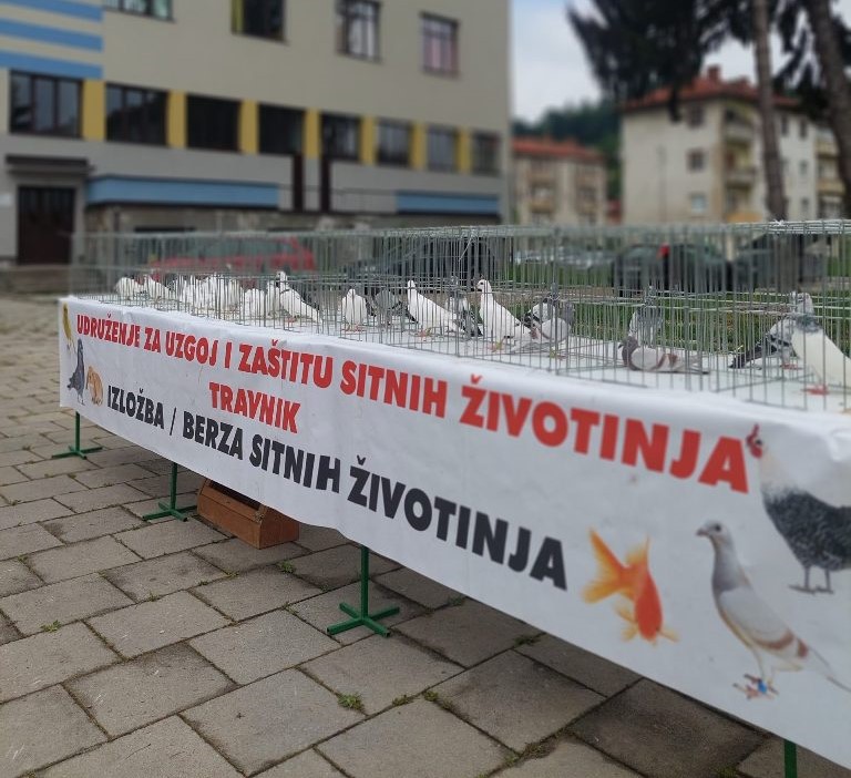 Održana revijalna smotra – izložba sitnih životinja