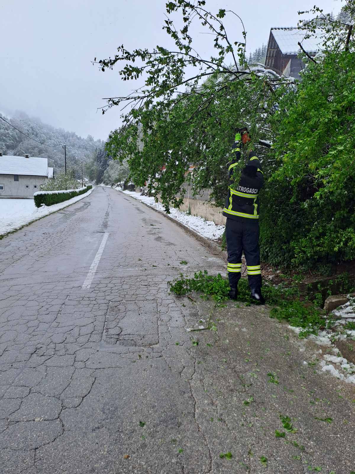 Drveće nije izdržalo snježne padaline, službe Općine Novi Travnik promptno reagirale 